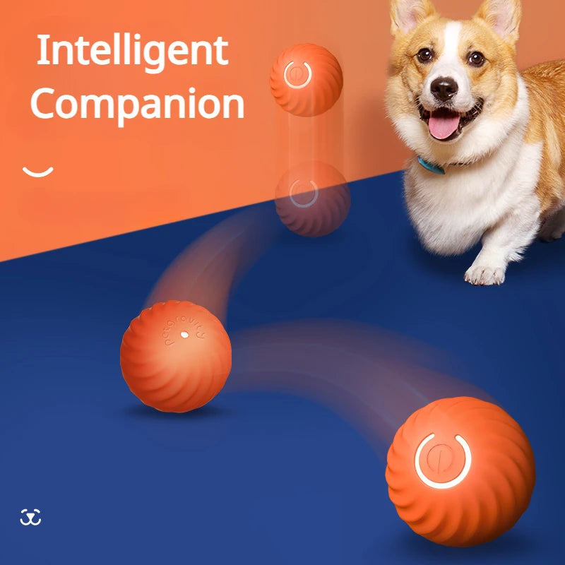 Smart Dog Ball