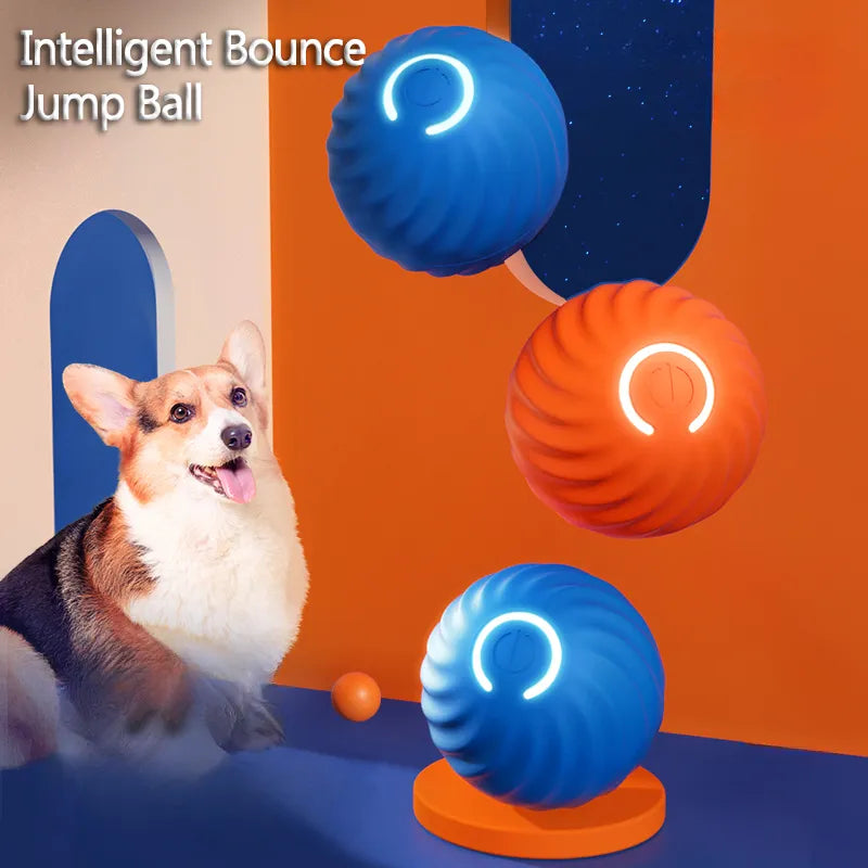 Smart Dog Ball