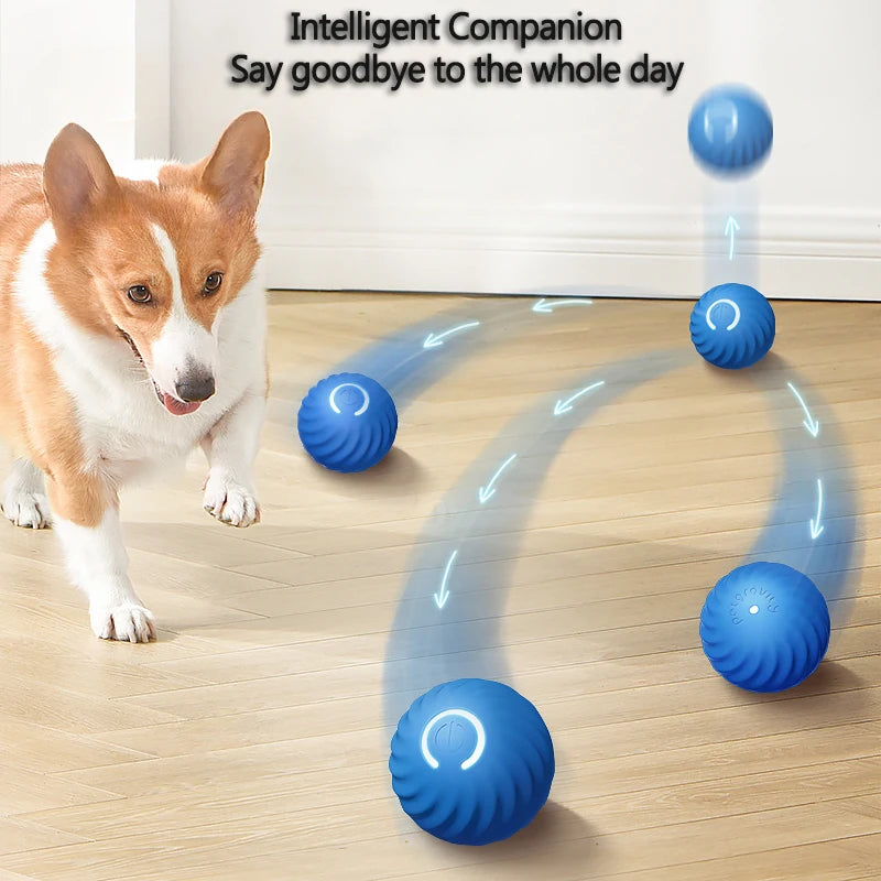 Smart Dog Ball