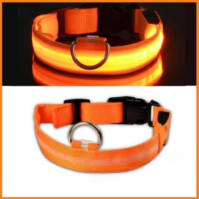 LED Pet Collar Adjustable Flashing Rechargea