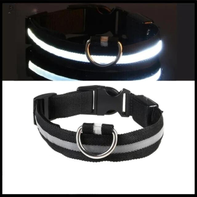 LED Pet Collar Adjustable Flashing Rechargea