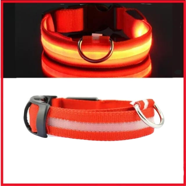 LED Pet Collar Adjustable Flashing Rechargea