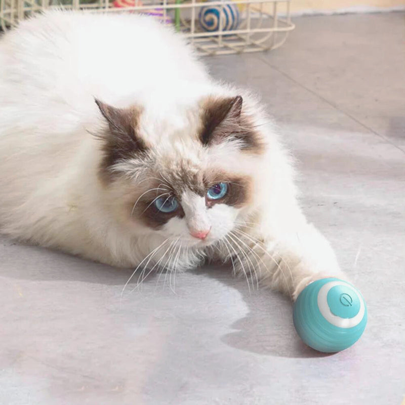 Smart Cat Ball